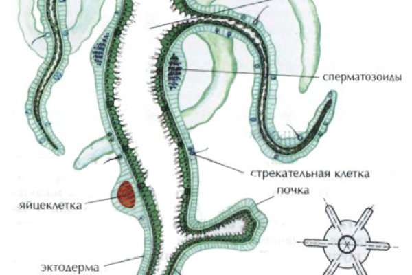 Как купить биткоины первый на блэкспрут