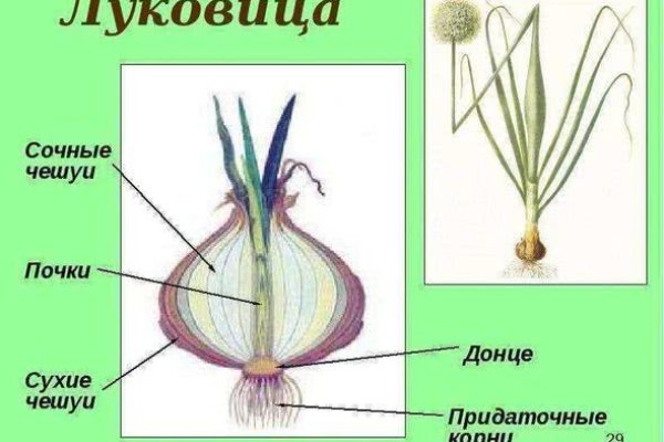 Не работает блэкспрут через тор сегодня