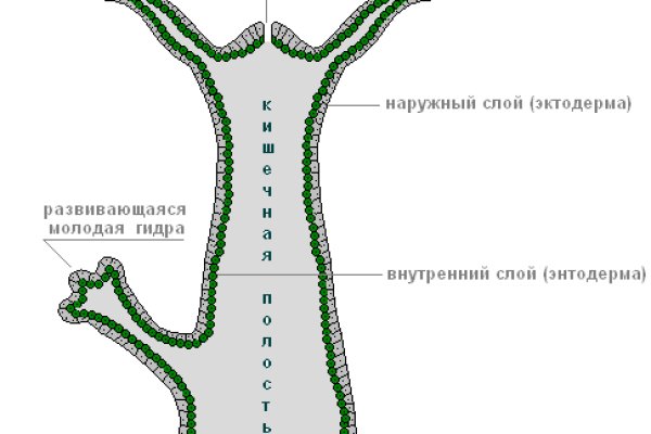 Где купить наркотики