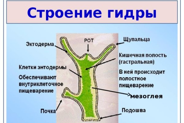 Kraken ссылка для тору