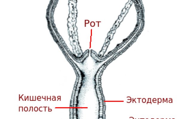 Мега кракен